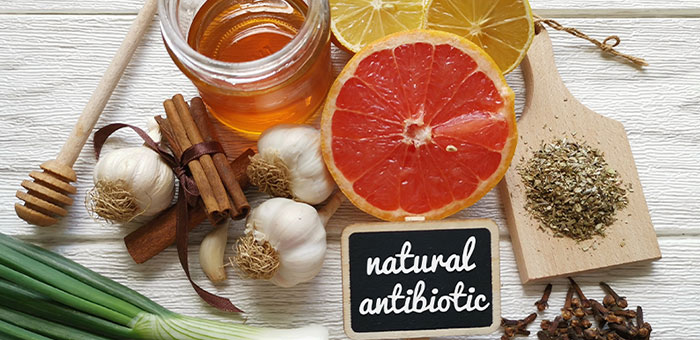 Natural antibiotics reccomnded by San Ramon chiropractor