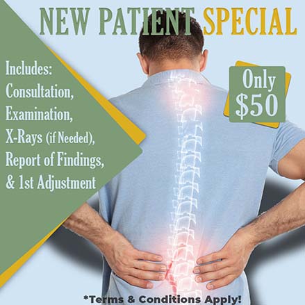 $50 Consultation, Examination, X-Rays (if needed), Report of Findings, and First Adjustment